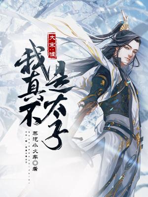 大宋:嘘,我真不是太子